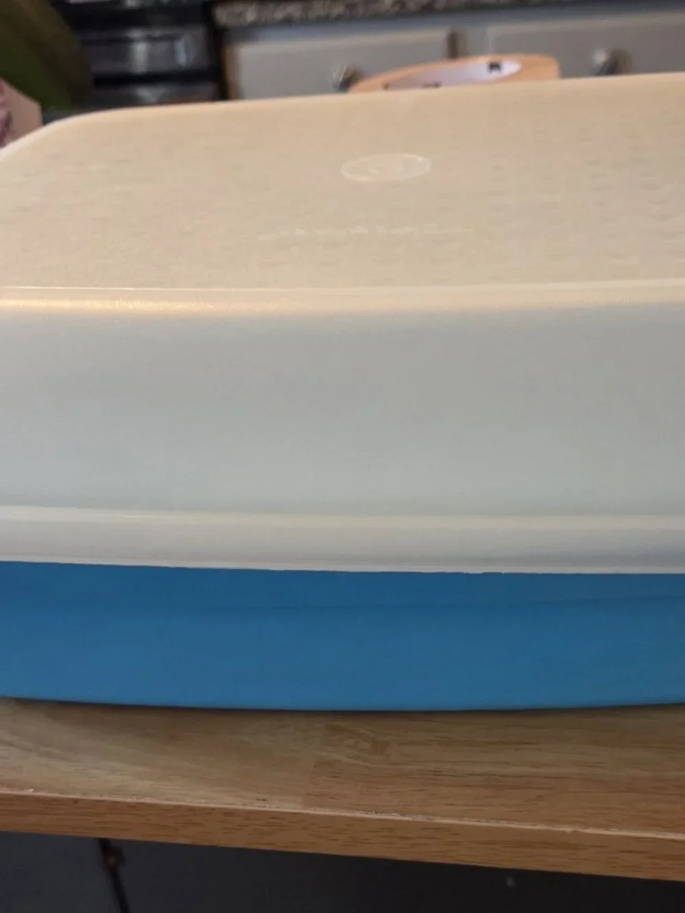 Vintage Tupperware Large Meat Keeper Marinade Container w/ Lid Blue Color VGC